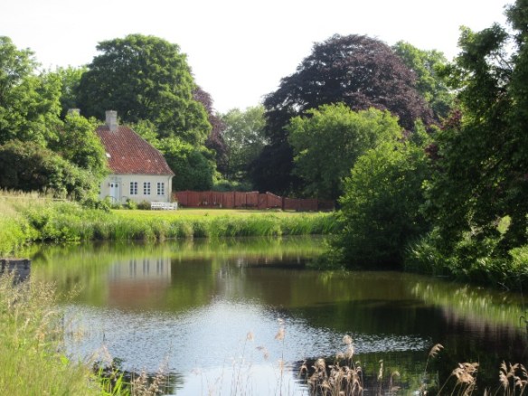 Photo by Kevin Mayne