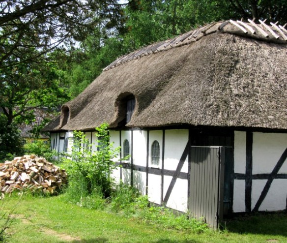 Photo by Kevin Mayne