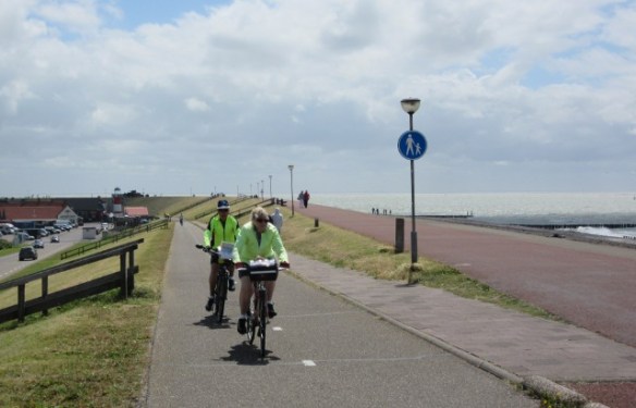 Photo by Kevin Mayne