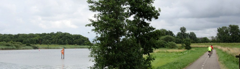 Photo by Kevin Mayne