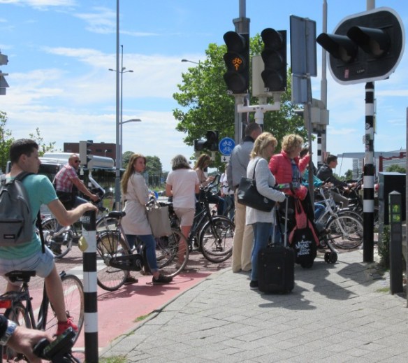 Photo by Kevin Mayne