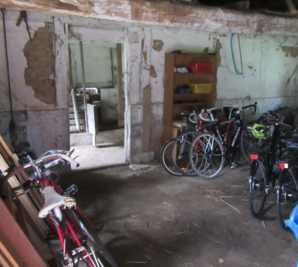 Photo by Kevin Mayne