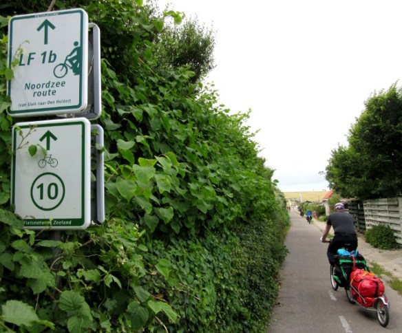 Photo by Kevin Mayne