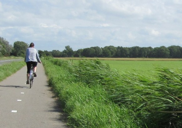 Photo by Kevin Mayne