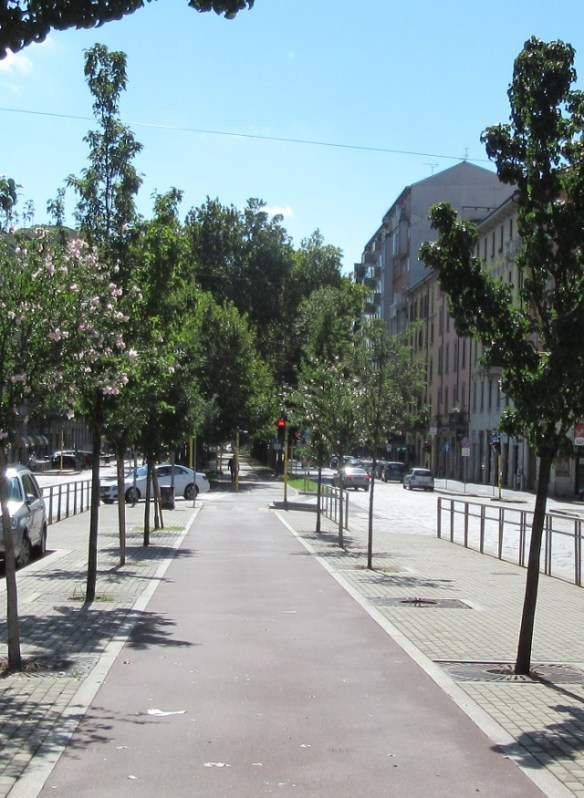 Photo by Kevin Mayne