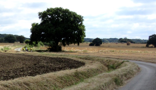 photo by Kevin Mayne