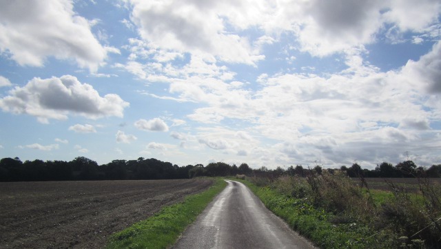 Photo by Kevin Mayne