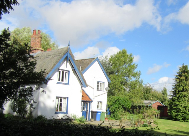 Photo by Kevin Mayne