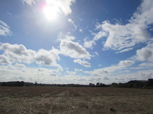 Photo by Kevin Mayne