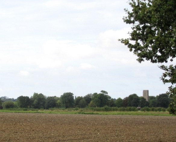 Photo by Kevin Mayne