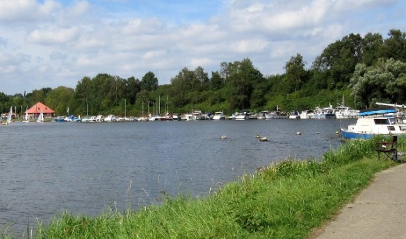 Photo by Kevin Mayne