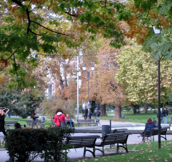 Photo by Kevin Mayne