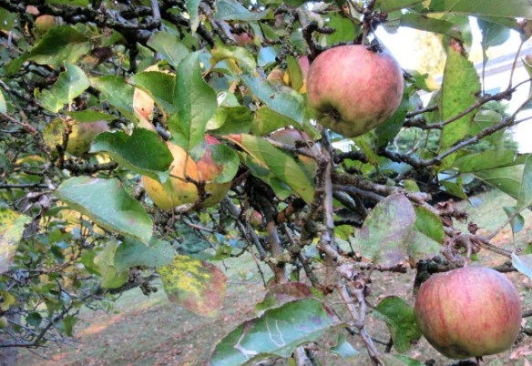 Photo by Kevin Mayne