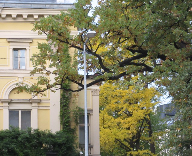 Photo by Kevin Mayne