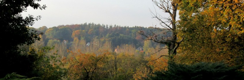 Photo by Kevin Mayne