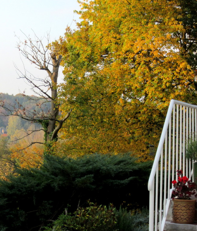 Photo by Kevin Mayne