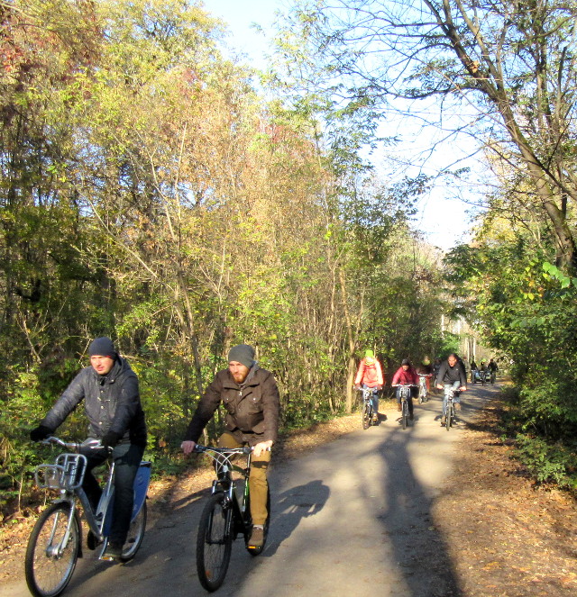 Photo by Kevin Mayne