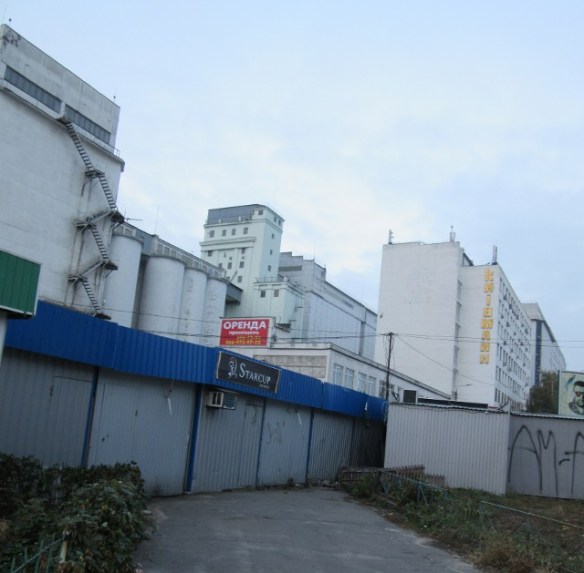 Photo by Kevin Mayne