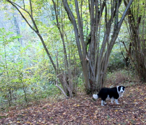 Photo by Kevin Mayne