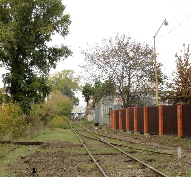 Photo by Kevin Mayne