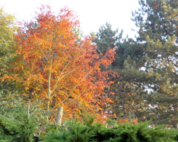 Photo by Kevin Mayne