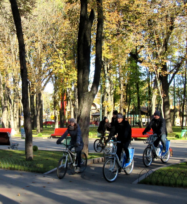 Photo by Kevin Mayne