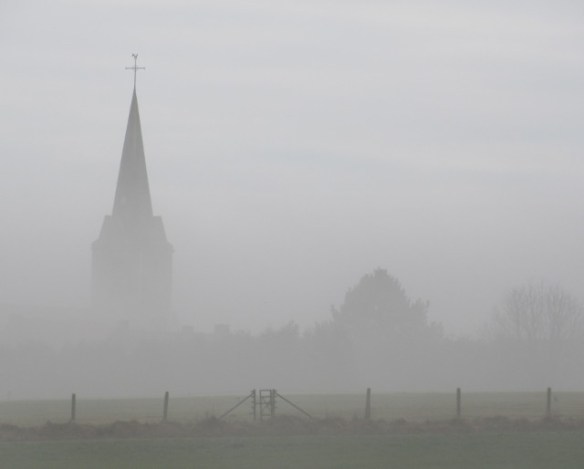 Photo by Kevin Mayne