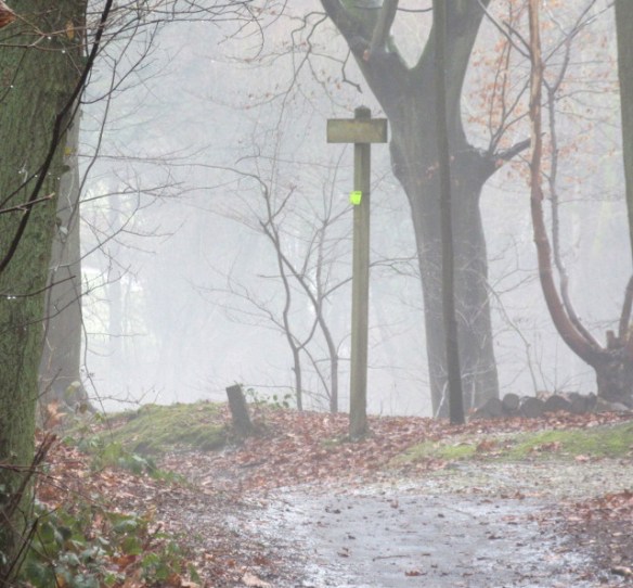 Photo by Kevin Mayne