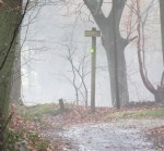 Photo by Kevin Mayne