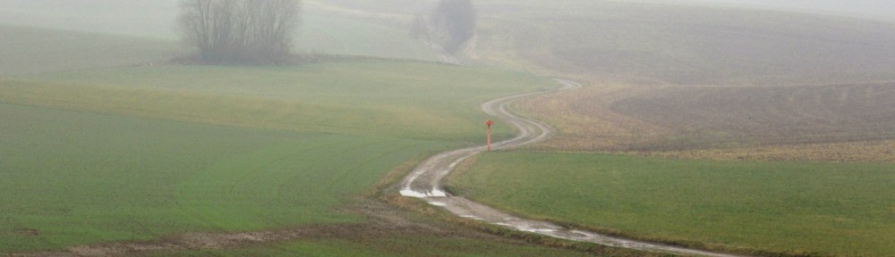 Photo by Kevin Mayne