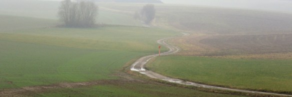 Photo by Kevin Mayne