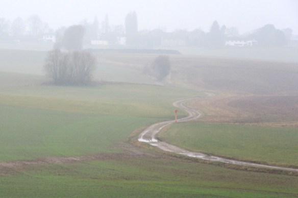 Photo by Kevin Mayne