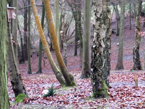 Photo by Kevin Mayne