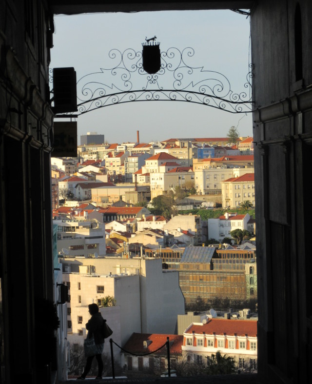 Photo by Kevin Mayne