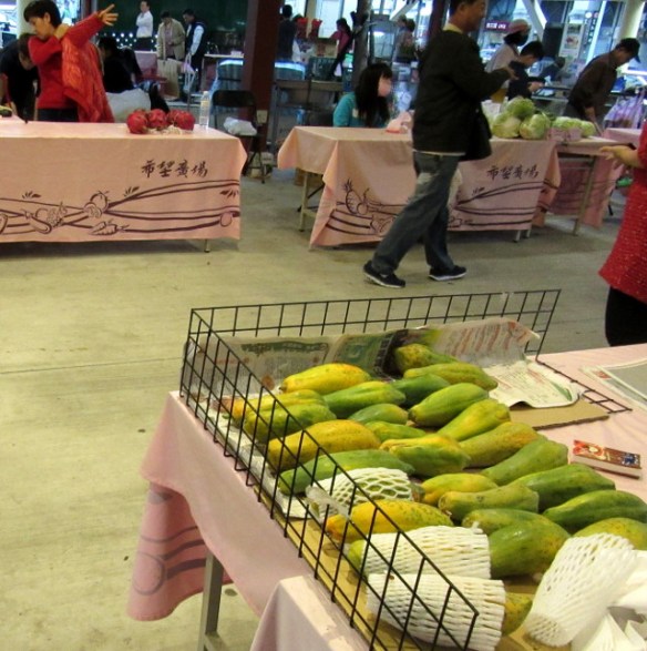 Photo by Kevin mayne