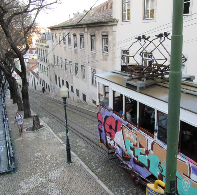 Photo by Kevin Mayne