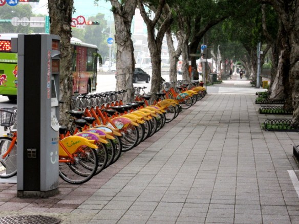 Photo by Kevin Mayne