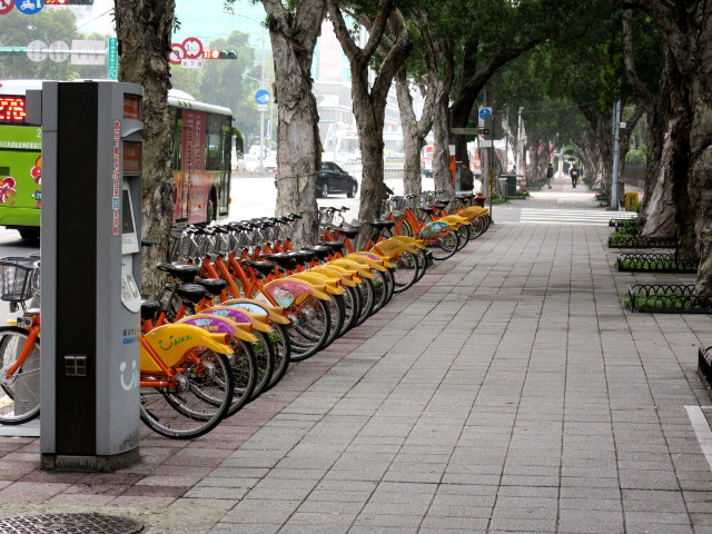 Photo by Kevin Mayne