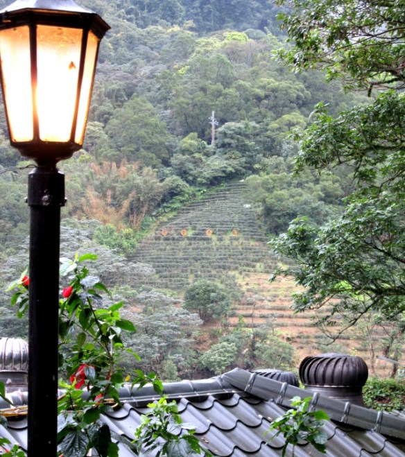 Photo by Kevin Mayne