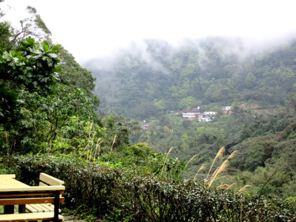 Photo by Kevin Mayne