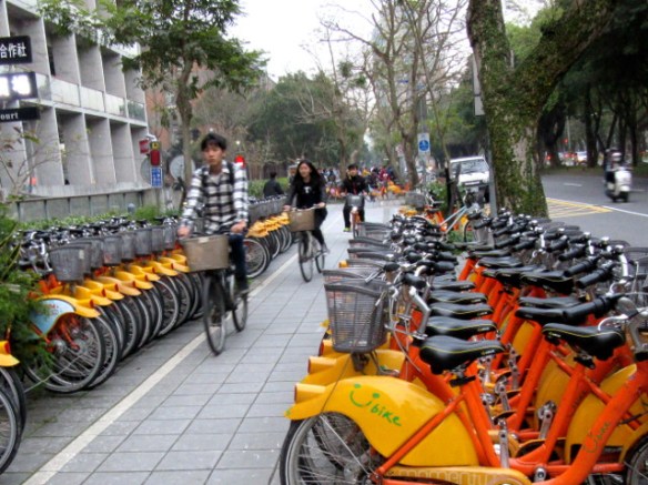 Photo by Kevin Mayne