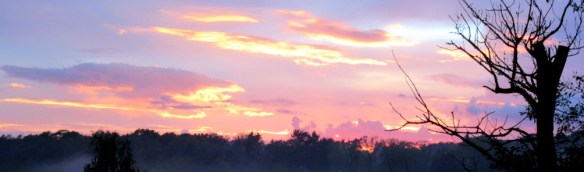 Photo by Kevin Mayne