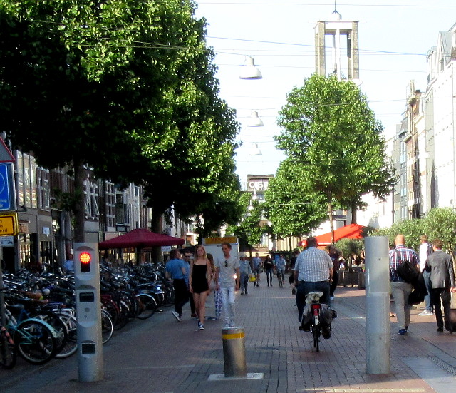 Photo by Kevin Mayne