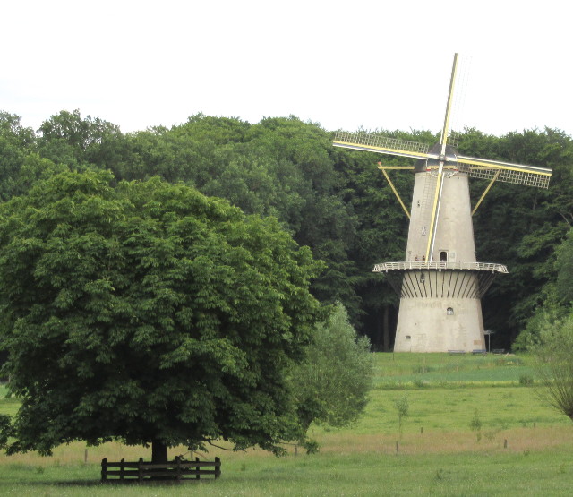 Photo by Kevin Mayne