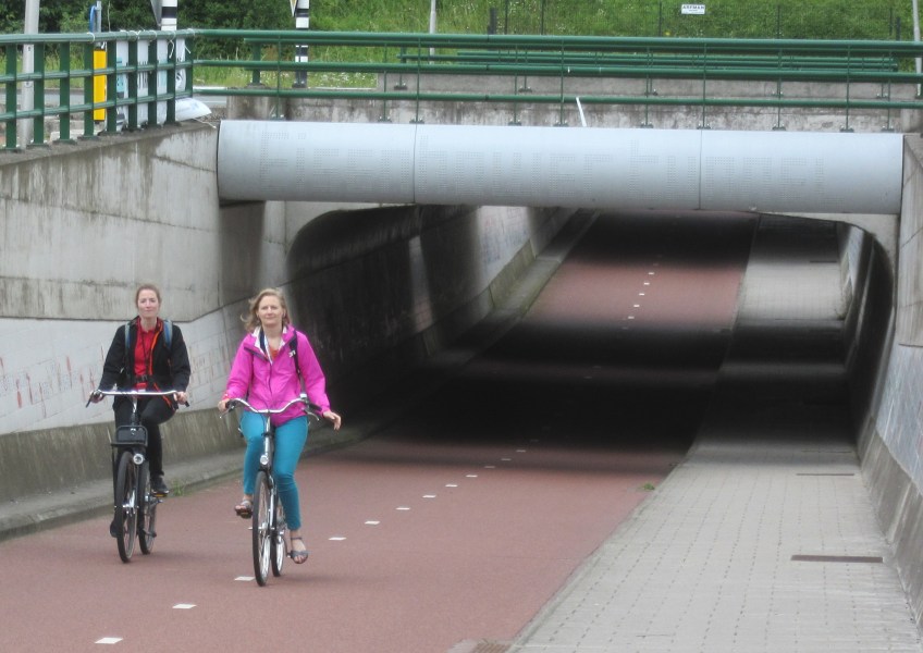 Photo by Kevin Mayne