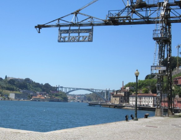 Photo by Kevin Mayne