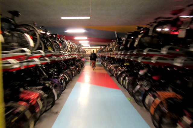 Photo by Kevin Mayne