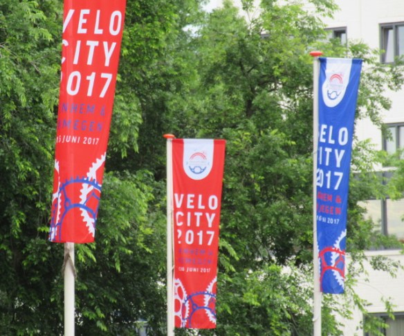 Photo by Kevin Mayne