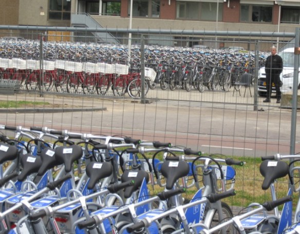 Photo by Kevin Mayne