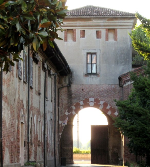 Photo by Kevin Mayne